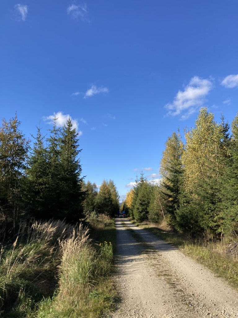 domki-do-wynajecia-tatry-zakopane-czarny-dunajec-gorskie-szlaki030