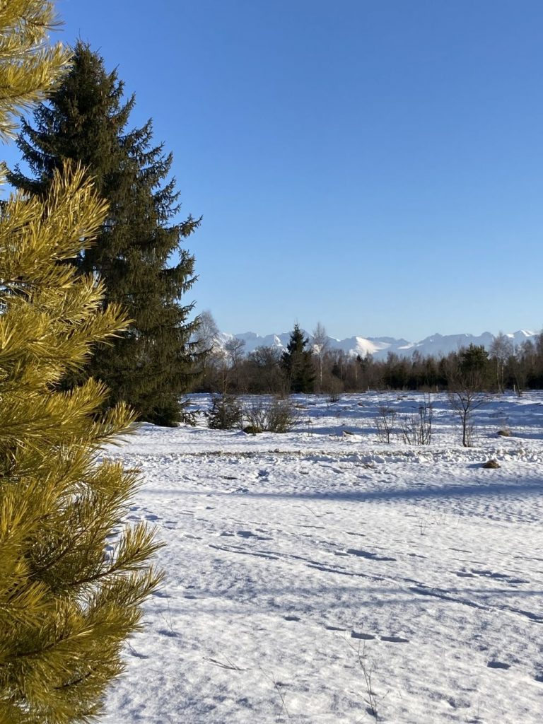 domki-do-wynajecia-tatry-zakopane-czarny-dunajec-gorskie-szlaki131