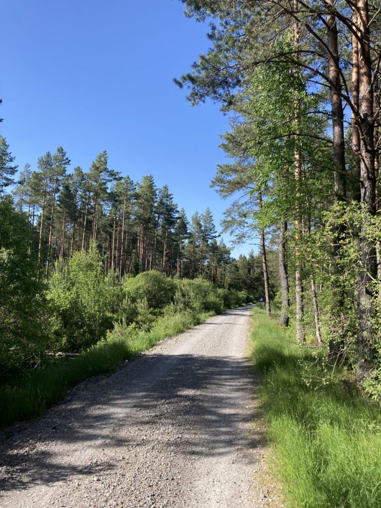 domki-do-wynajecia-tatry-zakopane-czarny-dunajec-gorskie-szlaki136